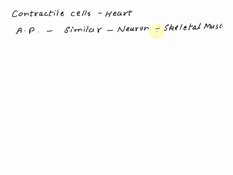 the_______-are-calcium-channels-in-cardiac-contractile-cells-opening-them-causes______-37488