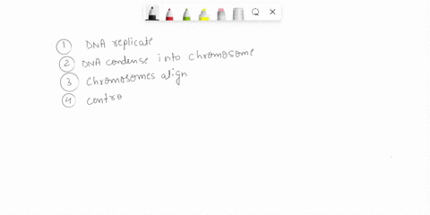 match-each-term-with-its-description-note-that-not-all-answers-will-be-used-1-interphase-2-prophase-3-metaphase-4-anaphase-5-telophase-6-cytokinesis-7-haploid-8-metaphase-ii-9-anaphase-ii-10-93971