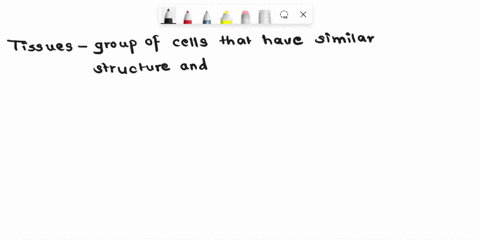define-the-term-tissue-and-write-the-name-of-different-type-of-tissue-75362