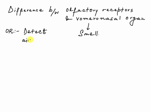 what-is-a-major-difference-between-olfactory-receptors-and-those-of-the-vomeronasal-organ-2-94708