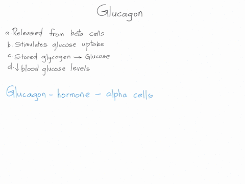 which-of-the-following-is-true-regarding-the-hormone-glucagon-released-from-the-beta-cells-of-the-islets-of-langerhans-stimulates-the-uptake-of-glucose-from-the-blood-into-the-tissues-conver-77501