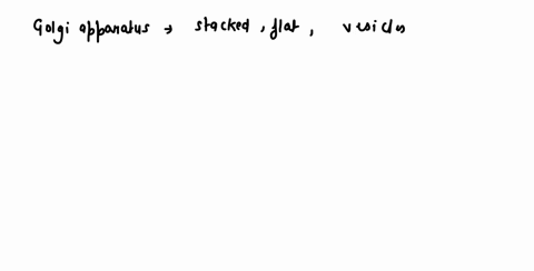 complete-the-table-by-dragging-each-structure-name-or-description-into-the-appropriate-place-stacked-flat-single-membrane-sacs-synthesizes-lipids-detoxifies-drugs-and-poisons-golgi-apparatus-77537