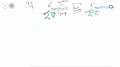 the-greatest-difference-in-health-between-two-groups-of-plants-of-the-same-species-one-group-with-3-75836
