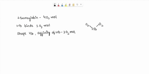 1-which-of-the-following-statements-is-correct-for-hemoglobin-and-oxygen-transport-a-the-oxygen-binds-to-the-proximal-histidine-residue-of-the-globin-chain-b-bonding-of-carbon-dioxide-to-hem-71378