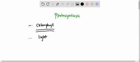 photosynthesis-is-the-process-in-which-________capture-________-energy-from-the-sun-and-convert-it-into-chemical-energy-by-converting-carbon-dioxide-and-water-into____________-47569