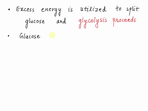 which-of-these-happens-when-energy-is-abundant-in-a-cell-a-glycogen-will-be-degraded-into-glucose-b-activity-of-the-glycolysis-pathway-will-decrease-c-glucose-will-be-oxidized-to-pyruvate-d-02545