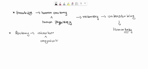when-lactose-is-present-how-does-the-lac-operon-function-describe-hiw-the-lac-operon-allows-e-coli-to-produce-enzymes-to-break-fown-the-lactose-please-help-61822