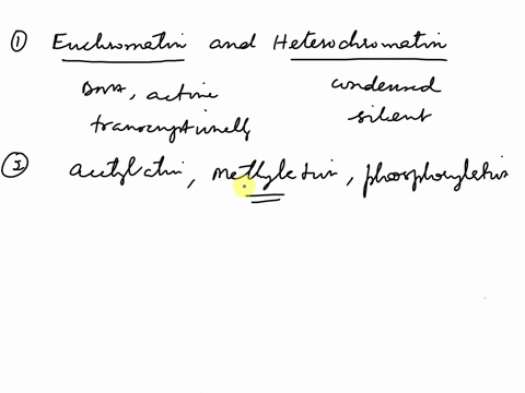 10-what-are-the-differences-between-euchromatin-and-heterochromatin-11-by-which-mechanisms-euchramatin-and-heterochromatin-becomes-reversible-entity-12-what-is-the-role-of-atp-dependent-chro-29197
