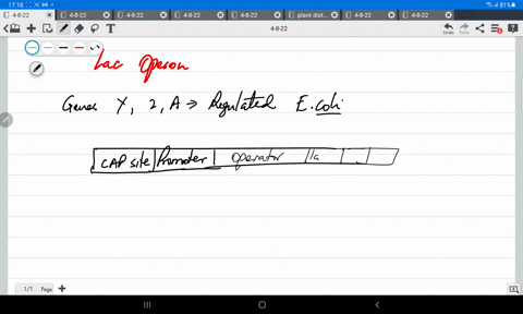what-would-be-the-consequence-of-a-mutation-in-the-laci-repressor-gene-that-produces-repressor-prote-48827