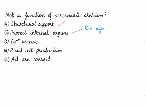 which-if-any-of-the-following-is-not-a-function-of-the-vertebrate-skeleton-a-structural-support-b-2-54901