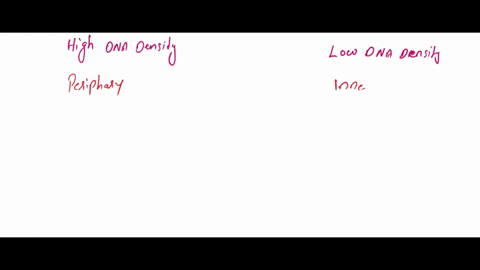 please-define-the-difference-between-heterochromatin-and-eukromatin-8-please-define-the-chemical-structure-of-dna_-9-list-and-explain-in-detail-the-3-contributors-to-fidelity-of-dna-46115