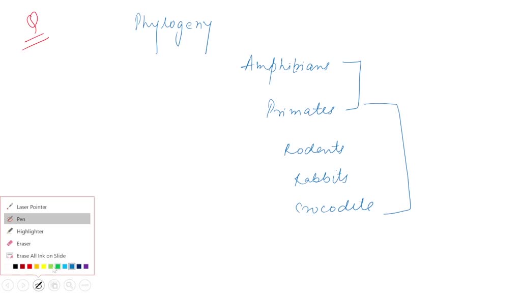 SOLVED QUESTION 5 Based on the phylogeny below, are primates more