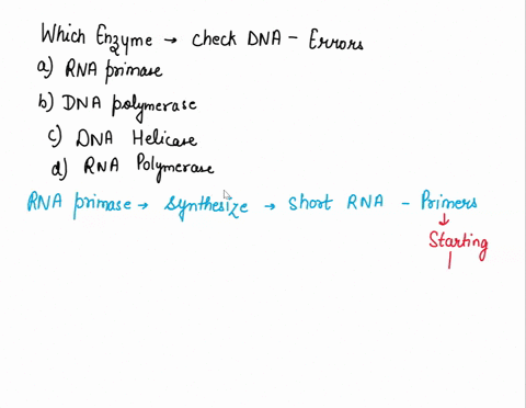 zwhich-enzyme-checks-dna-for-erors-rna-primase-dna-polymerase-topoisomerases-dna-polymerase-only-during-replication-dna-helicase-rna-polymerase-49087