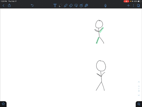if-two-structures-are-both-on-the-left-side-of-the-body-they-are-______-to-each-other-if-one-is-on-2-36361