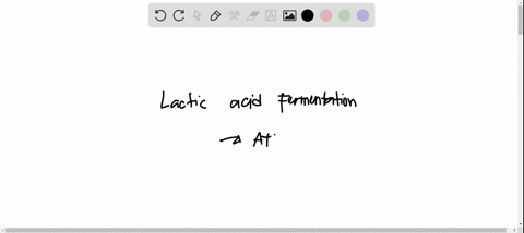 running-for-a-long-period-of-time-such-as-during-a-marathon-can-result-in-muscle-fatigue-which-process-is-important-to-a-runner-at-the-end-of-a-marathona-lactic-acid-fermentation-to-produce-92023
