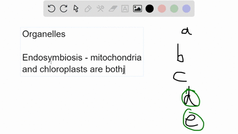 which-of-the-organelles-have-their-own-dna-separate-from-dna-contained-in-the-nucleus-golgi-apparatus-centriole-rough-endoplasmic-reticulum-mitochondria-chloroplasts-24685