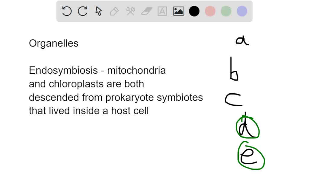 SOLVED: Which organelles of a cell possess their own DNA? lysosomes and ...