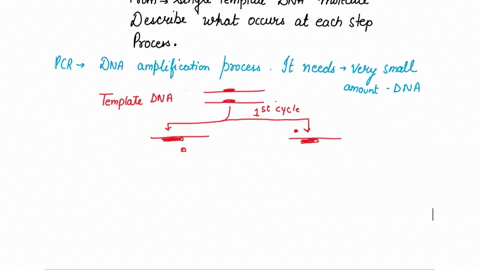 3. Give a schematic diagram of the different steps involved...