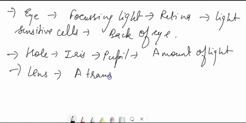 1-how-does-the-eye-work-2-what-is-the-hole-in-the-center-of-the-iris-what-is-its-function-3-what-are-the-material-properties-of-the-lens-4-what-is-the-blind-spot-of-the-retina-5-what-is-the-48486