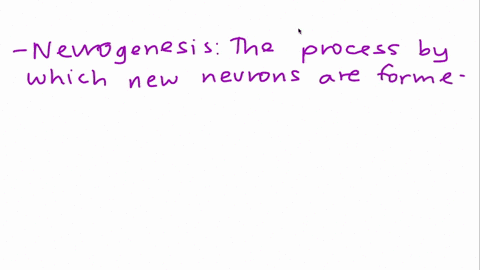 which-statement-about-neurogenesis-is-true-a-it-concludes-at-around-18-weeks-after-conception-b-it-is-predetermined-by-genetics-throughout-life-c-it-increases-and-decreases-depending-on-the-06833