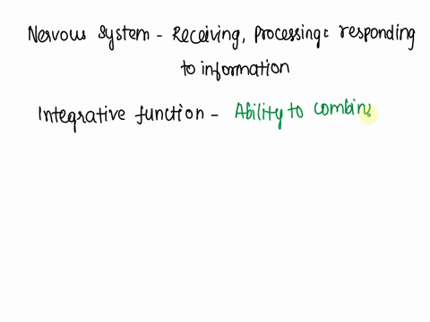 explain-what-is-the-integrative-function-of-the-nervous-system-give-an-example-79587