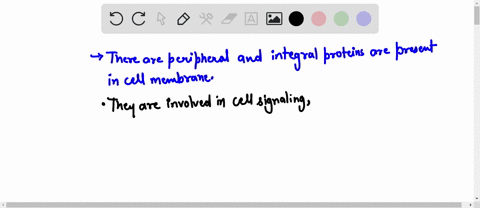 which-of-the-following-is-not-a-function-of-proteins-present-in-the-plasma-membrane-a-proteins-ass-2-53062