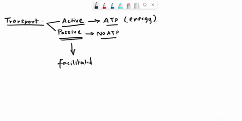 identify-the-statement-that-is-true-apassive-transport-does-not-require-the-cell-to-use-energy-while-active-transport-does-an-example-of-passive-transport-is-a-the-sodium-potassium-pump-bpas-92893