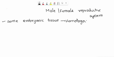 describe-at-least-3-similarities-between-the-male-and-female-reproductive-systems-this-could-be-hormones-structures-genetics-etc-write-your-answer-in-at-least-150-200-words-61182
