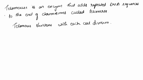 in-1994-telomerase-activity-was-discovered-in-human-cancer-cell-lines-although-telomerase-is-not-a-2-69863