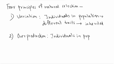 what-are-the-four-principles-of-natural-selection-76043