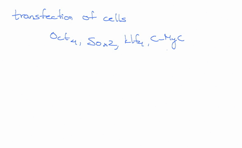 tqu-mnay-cnuuse-mnore-uani-ole-answer-which-of-the-following-are-currently-sources-of-human-embryonic-stem-cells-existing-embryonic-undifferentiated-stem-cell-lines-which-continuously-divide-97953