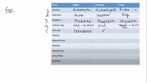 compare-and-contrast-the-differences-among-algae-protozoa-and-fungi_-52088