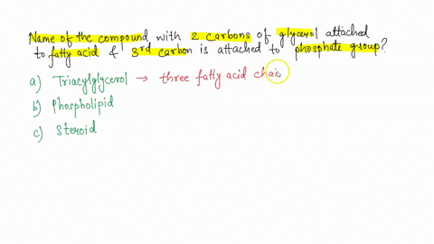 what-is-the-name-used-for-a-acid-chains-and-the-third-bolecule-in-which-two-carbons-of-glycerol-are-_-carbon-is-attached-to-phosphate-attached-to-fatty-group-oog-trlacylgiycerol-phospholipld-00016