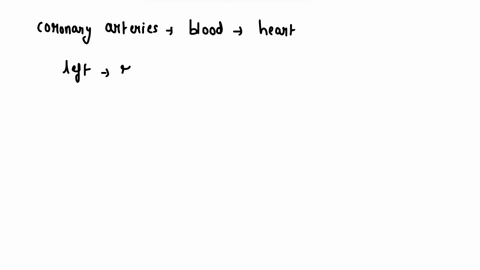question-6-not-yet-answered-points-out-of-100-flag-question-which-of-the-following-is-not-a-coronary-artery-select-one-a-circumflex-artery-b-left-anterior-descending-artery-marginal-artery-d-65277