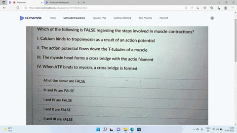 which-of-the-following-is-false-regarding-the-steps-involved-in-muscle-contractions-calcium-binds-to-tropomyosin-as-result-of-an-action-potential-the-action-potential-flows-down-the-t-tubule-36574