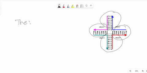 b-explain-why-resolution-of-the-holliday-junction-in-the-single-stranded-break-model-results-in-the-either-crossover-recombinants-or-noncrossover-recombinants-you-may-use-a-diagram-to-aid-in-11022