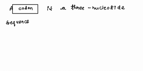 8-a-codon-is-a-triplet-base-sequence-in-a-trna-brrna-cmrna-od-dna-77885
