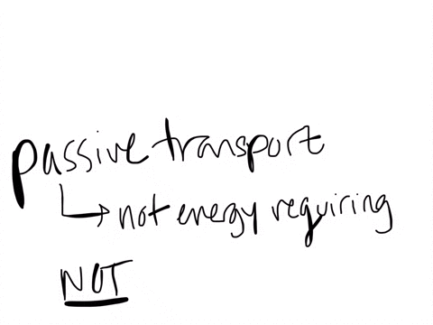 question-10-which-is-not-a-passive-means-of-movement-through-the-plasma-membrane-1-simple-diffusion-2-active-transport-3-facilitated-diffusion-4-osmosis