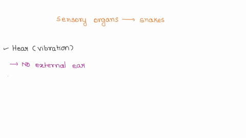 describe-the-two-sensory-organs-that-make-snakes-effective-trackers-of-prey-06037
