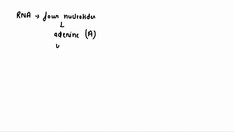 in-rna-which-nucleotide-is-always-paired-with-uracil-75875