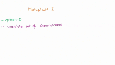 which-of-the-following-occurs-during-metaphase-i-a-homologous-chromosomes-pack-tightly-pair-up-and-swap-segments-b-homologous-chromosome-pairs-are-aligned-midway-between-spindle-poles-c-the-95273
