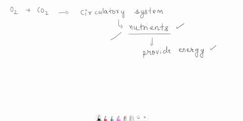 in-addition-to-oxygen-and-carbon-dioxide-the-circulatory-system-is-the-primary-delivery-system-of-what-42004