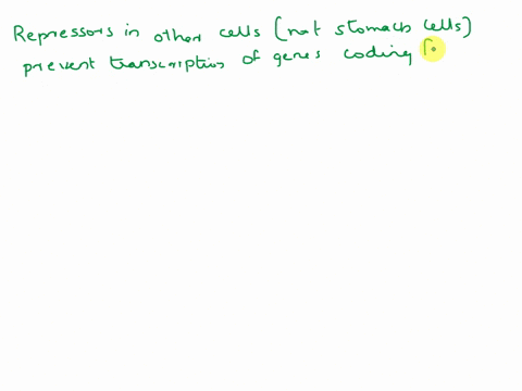 question-20-05pts-the-production-of-hci-is-encoded-into-the-dna-ofallour-cells-how-is-hci-produced-only-by-certain-cells-in-the-stomach-lining-but-not-produced-by-any-other-cells-in-the-body-48667