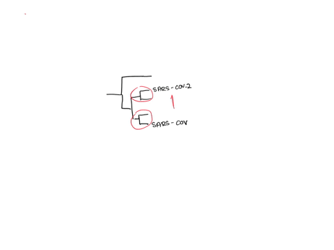 6-1-point-find-sars-cov-2-on-the-phylogeny-above-this-is-the-virus-that-causes-covid-19-there-have-been-two-previous-major-coronavirus-outbreaks-in-the-21st-century-sars-in-2002-2003-caused-23297
