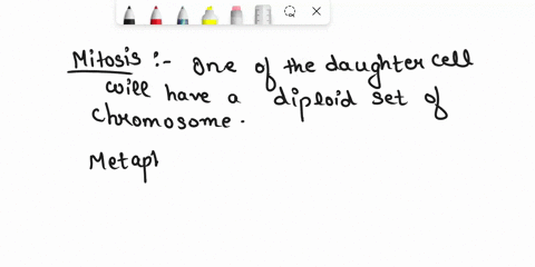 if-a-cell-skipped-metaphase-during-mitosis-how-might-this-affect-the-two-daughter-cells-59315