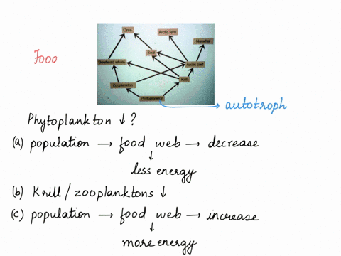 the-image-shows-a-food-web-in-an-arctic-ecosystem-rising-temperatures-in-the-arctic-ocean-can-lead-to-large-die-offs-of-phytoplankton-which-are-autotrophs-what-would-most-likely-happen-in-an-68509