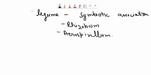 a-legume-having-symbiotic-association-with-two-nitrogen-fixing-bacteria-rhizobium-and-aerospirillum-is-a-crotalaria-juncea-b-sesbania-aculeata-c-sesbania-rostrata-d-cyamopsis-tetragonoloba-77336