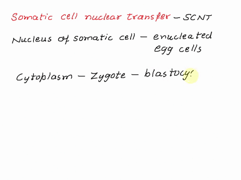 somatic-cell-nuclear-transfer-is-one-technique-used-to-make-cells-in-the-labs-that-develop-into-embryos-that-are-clones-that-are-then-placed-into-the-uterus-of-a-surrogate-mother-to-grow-thi-29813