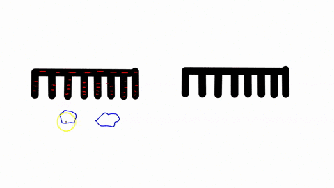 small-bits-of-paper-are-attracted-to-an-electrically-charged-combbut-as-soon-as-they-touch-the-comb-they-are-strongly-repelled-explain-this-behavior-18224