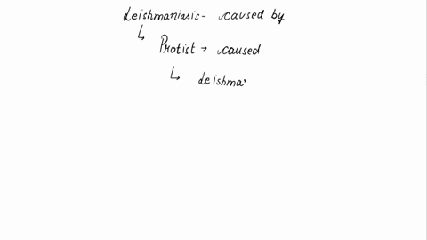 question-25-1-point-leishmaniasis-is-caused-by-virus-archaebacteria-bacteria-fungi-protist-01637
